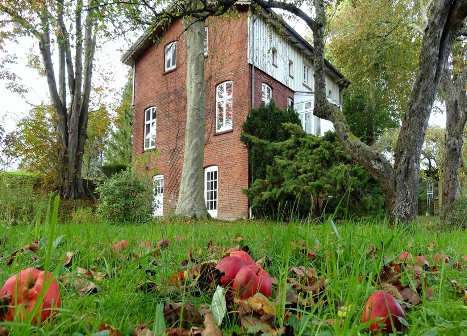 Ferienhaus Naturlich Wassermuhle Капелн Екстериор снимка